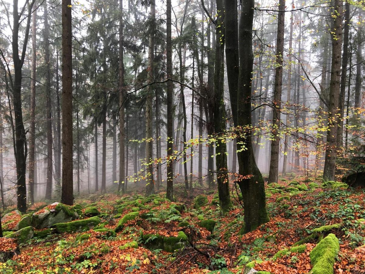 Romantikhuetten 1 & 24 Stamsried Bagian luar foto